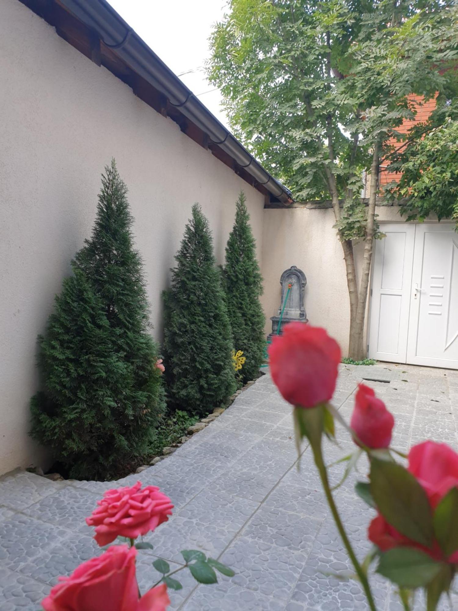 Apartments Old Town サラエヴォ エクステリア 写真